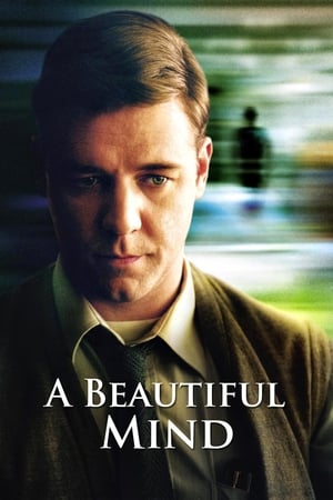 A Beautiful Mind 2001 Hindi Dual Audio 480p BluRay 450MB