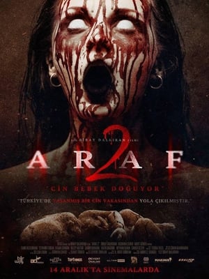 Araf 2 2019 Hindi Dual Audio 720p Web-DL [750MB]