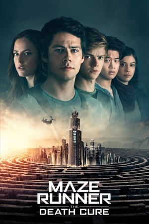 Maze Runner: The Death Cure (2018) Hindi Dual Audio 720p BluRay [1.3GB] ESubs