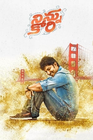 Ninnu Kori 2017 (Hindi - Telugu) Dual Audio 720p UnCut HDRip [1.4GB]