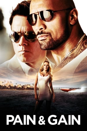 Pain & Gain 2013 Movie 100MB Hevc Buray Hindi Dual Audio