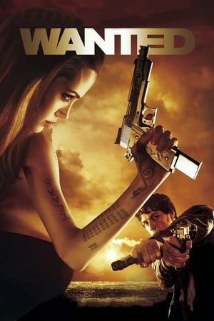 Wanted 2008 Hindi Dual Audio 480p BluRay 350MB